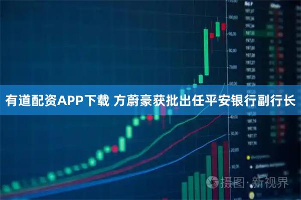 有道配资APP下载 方蔚豪获批出任平安银行副行长